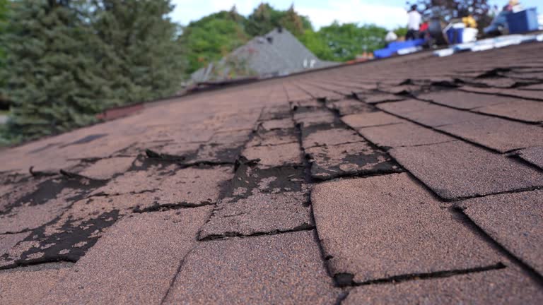 Professional Roofing Service in Ukiah, CA
